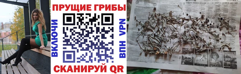 Галлюциногенные грибы ЛСД хочу наркоту Кандалакша